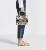 Medium Lady D-Lite Bag