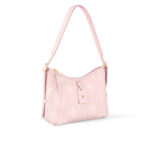 CarryAll PM