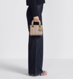 Mini Lady Dior Bag