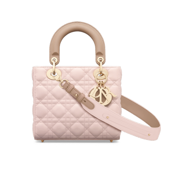 Small Lady Dior My ABCDior Bag