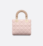 Small Lady Dior My ABCDior Bag