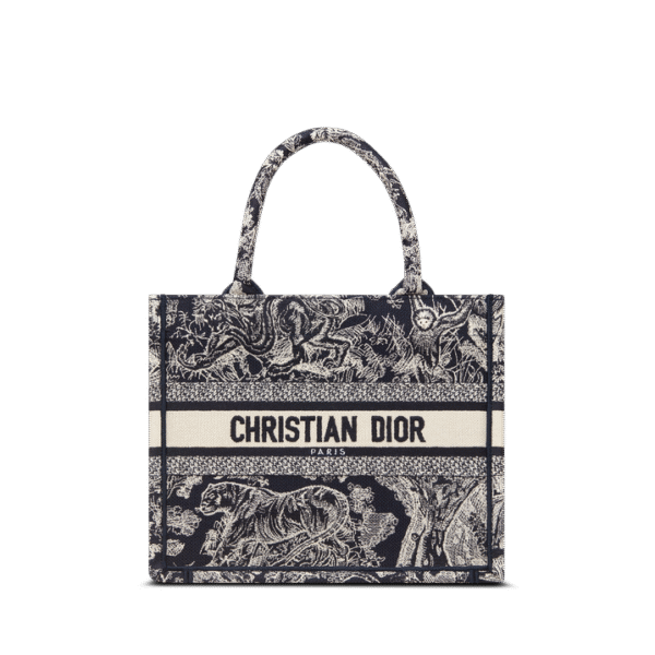 Small Dior Book Tote